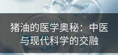 猪油的医学奥秘：中医与现代科学的交融